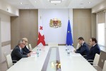 mTavrobis-administraciis-ufrosi-levan-JorJoliani-germaniis-elCs-saqarTveloSi-peter-fiSers-Sexvda