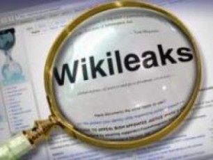 wikileaks---skandalebis-kartoTeka