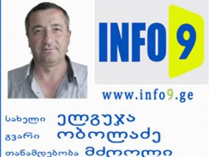 info9-s-mZRoli-tyibulis-gamgeobis-TanamSromelma-scema