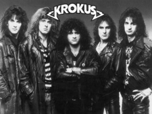 Krokus-brundeba