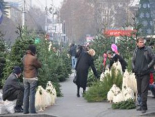 dedaqalaqis-xelmZRvanelobas-naZvebis-gayidva-ar-unda-daeSva