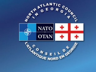 Crdiloatlantikuri-sabWos-NAC-viziti-saqarTveloSi---nato-saqarTvelos-komisiis-sxdoma-2013