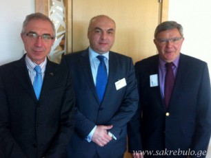 sakrebulos-delegacia-strasburgSi-Sexvedrebs-marTavs