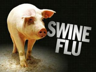 Roris-gripi---xelovnurad-Seqmnili-virusi