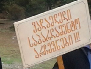 nacionalebis-mtkicebiT-mmarTveli-gundi-vadamdeli-arCevnebisTvis-emzadeba