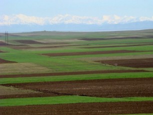 ucxoelebze-sasoflo-miwis-miyidvis-akrZalva-isev-aqtualuria