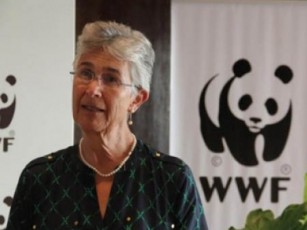 WWF-is-prezidenti-iolanda-kakabaZe-gaxSirebuli-xanZrebi-klimatis-cvlilebas-ukavSirdeba