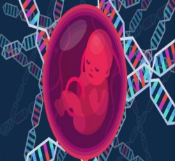 Cineli-mecnieri-amtkicebs-rom-bavSvis-genebi-CRISPR-iT-Secvala