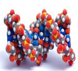 xelovnuri-inteleqti-cilebis-3D-struqturebs-rekordulad-swrafad-adgens