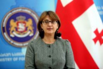 maia-fanjikiZe--biZina-ivaniSvilis-werili-evroparlamentarebisadmi-SesaZloa-am-kviraSi-gamoqveyndes