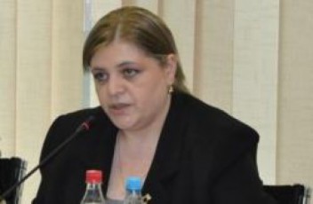 irina-imerliSvili-varaudobs-rom-ivaniSvili-usufaSvili-da-baqraZe-saxelmwifo-komisiis-Seqmnaze-SeTanxmdebian