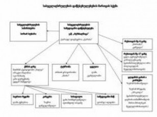 nacionalurma-moZraobam-kriminaluri-avtoritetebis-mier-cixeebis-marTvis-sqema-gamoaqveyna