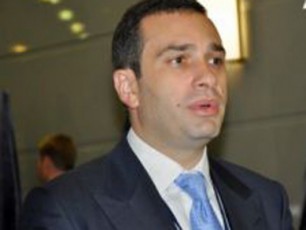 biZina-ivaniSvilTan-aranairi-garigeba-ar-momxdara