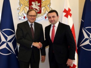 irakli-RaribaSvilma-da-aleqsandre-verSboum-nato-saqarTvelos-TanamSromlobis-sakiTxebi-ganixiles