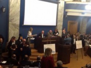 Tavisufalma-demokratebma-ori-komitetis-sxdoma-protestis-niSnad-datoves
