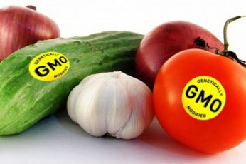 azerbaijanSi-genmodificirebuli-organizmebis-Setana-7-wlamde-patimrobiT-daisjeba