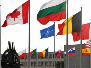 saqarTvelosTan-mimarTebaSi-aliansis-damokidebuleba-erTmniSvnelovnad-dadebiTia