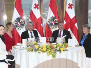 saxelmwifo-sadili-avstriis-prezidentis-da-pirveli-ledis-pativsacemad