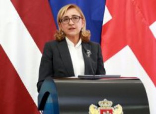 Tamar-beruCaSvili-ar-akonkretebs-SeeZleba-Tu-ara-gubernator-saakaSvils-saqarTveloSi-diplomatiuri-pasportiT-Camosvla