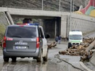mziuris-teritoriaze-maSvelis-cxedari-ipoves