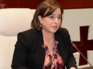 sakonstitucio-sasamarTlo-cdilobs-misi-qmedeba-araswor-faqtebze-dayrdnobiT-gaamarTlos