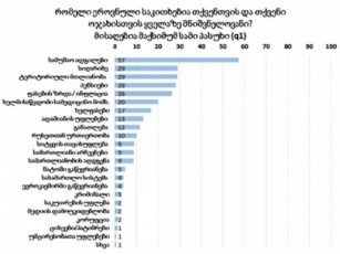 NDI-s-gamokiTxulTa-57-qveyanaSi-yvelaze-mniSvnelovan-sakiTxad-dasaqmebas-miiCnevs