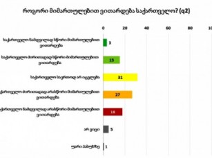 NDI-is-gamokiTxulTa-31-miiCnevs-rom-saqarTveloSi-mdgomareoba-saerTod-ar-icvleba