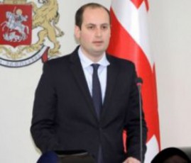 mixeil-janeliZe---velodebiT-rom-evroparlamenti-saqarTvelos-vizaliberalizaciis-sakiTxs-SemWidrovebul-vadebSi-ganixilavs