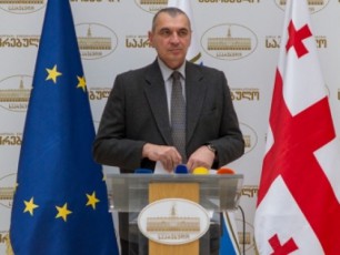 Tbilisis-meri-kiTxvebze-pasuxis-gasacemad-mzad-ar-aris
