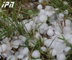 duSeTis-raionis-ramdenime-sofeli-Zlierma-setyvam-daazarala