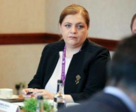 irina-imerliSvili---sakonstitucio-sasamarTlosTan-dakavSirebul-kanonze-politikur-gadawyvetilebas-prezidenti-miiRebs