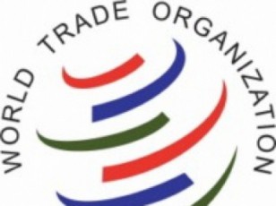 WTO-s-yofili-xelmZRvaneli-gaerTianebuli-samefos-evrokavSiridan-gasvla-qveynis-ekonomikas-mZime-dartymas-miayenebs