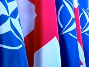 nato-saqarTvelos-haersawinaaRmdego-TavdacviTi-SesaZleblobebis-gaZlierebaSi-daexmareba