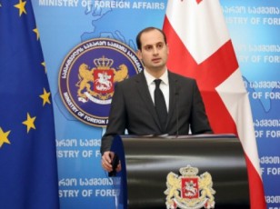 euTo-saqarTveloSi-sadamkvirveblo-misiis-ganxorcielebas-dReidan-iwyebs