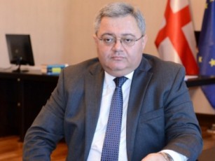 daviT-usufaSvili-biZina-ivaniSvilisa-da-giorgi-kvirikaSvilisadmi-2016-wlis-11-marts-gagzavnil-werils-asajaroebs