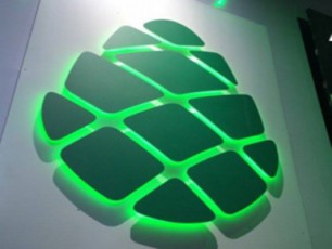girCi-biZina-ivaniSvils-da-giorgi-kvirikaSvils-Ria-weriliT-mimarTavs