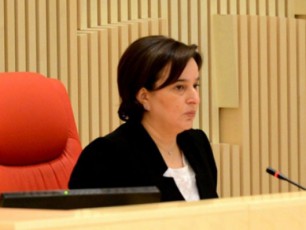yvelam-rom-meilebis-gasajaroeba-daiwyos-ar-mgonia-es-qveynis-interesebs-waadges