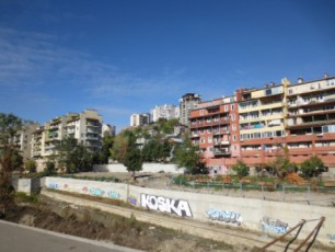 Ciqovanis-30-Si-sayrdeni-kedlis-mSenebloba-dasrulda