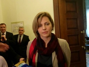 ana-doliZe--gaugebaria-ra-logikiT-xdeba-sakonstitucio-komisiis-formireba