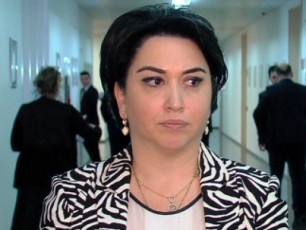 ar-mgonia-rom-parlamentis-Tavmjdomare-gaakeTebda-gancxadebas-romelsac-ar-aqvs-Sesabamisi-dasayrdeni