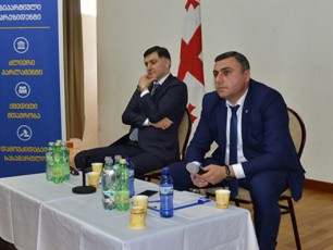 saqarTvelos-parlamentis-delegacia-samuSao-vizitiT-ukrainaSi-imyofeba