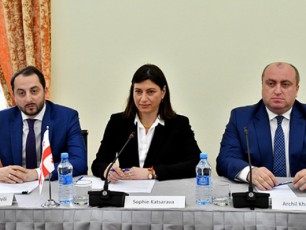 parlamentSi-TurqeT-saqarTvelos-umaRlesi-donis-strategiuli-TanamSromlobis-sabWos-meore-sxdomis-farglebSi-dagegmili-saparlamento-Sexvedrebi-gaimarTa