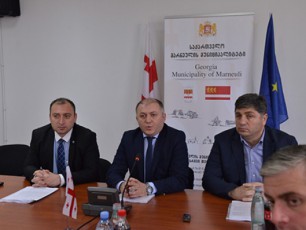 regionuli-politikisa-da-TviTmarTvelobis-komitetis-gasvliTi-sxdoma-marneulis-municipalitetSi-gaimarTa