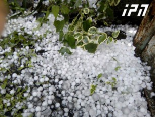 Zlierma-wvimam-da-setyvam-kaxeTis-regioni-daazarala