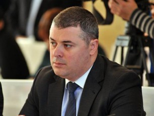 oTar-danelias-gancxadeba-parlamentis-plenarul-sxdomaze