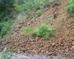 qobuleTis-municipalitetSi-Zlieri-wvimis-Sedegad-mewyeri-ramdenime-adgilas-Camowva