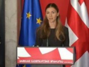 qarTul-ocnebas-rom-konstituciaze-konsensusi-surdes-isini-am-konsultaciebSi-monawileobas-miiRebdnen