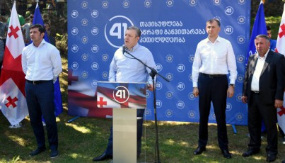 Tamar-Jvanias-informaciiT-adgilobriv-arCevnebSi-monawileobis-misaRebad-registraciaSi-28-saarCevno-subieqti-gatarda
