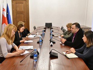 rati-ionaTamiSvili-evropis-sabWos-warmomadgenels-honko-mirkas-Sexvda