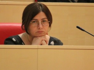 saubari-rom-SesaZloa-vizaliberalizacias-safrTxe-Seeqmnas-aris-Tu-ara-kriminalTan-da-organizebul-danaSaulTan-mimarTebaSi-qarTuli-ocnebis-upasuxismgeblo-politikis-Sedegi